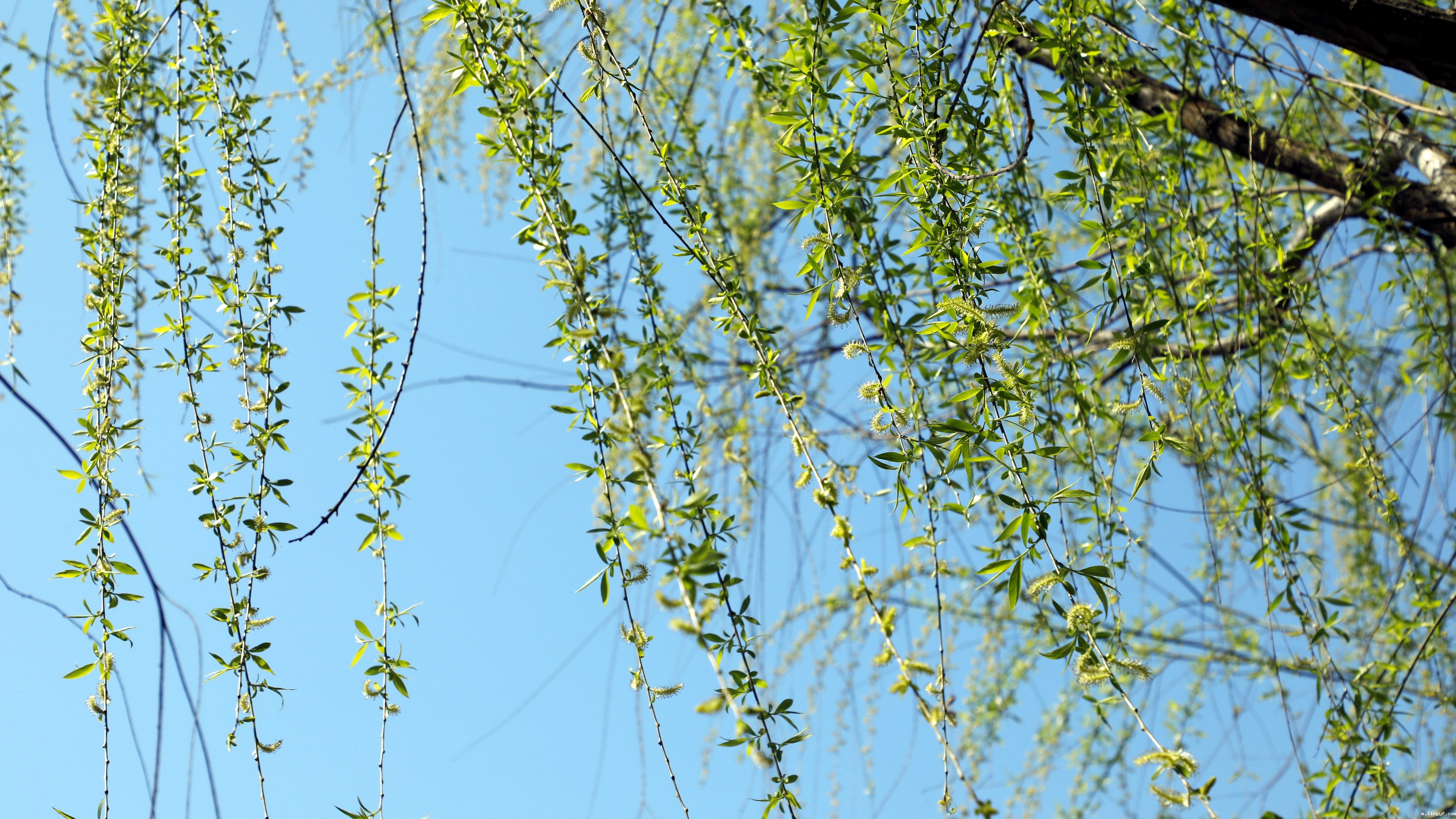 你好，四月 | 共科与春天撞个满怀